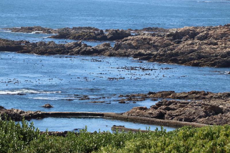 3 Bedroom Property for Sale in De Kelders Western Cape